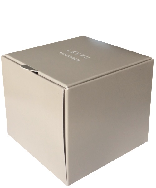 Titanové hodinky se safírovým sklem LAVVU TITANIUM LILLEHAMMER Silver LWM0151