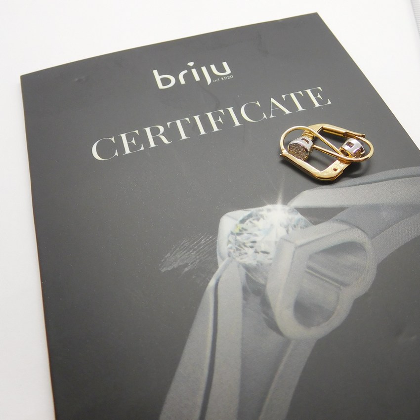 Klenoty Budín Diamantové zlaté náušnice s diamanty (bílé a žluté zlato) 585/1,73gr BO185 HKD29