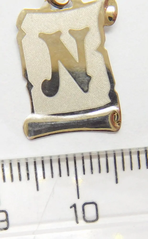 Klenoty Budín Zlatý přívěsek písmenko N v bílém zlatě na pergamenu 585/0,47gr GUPWN-17181